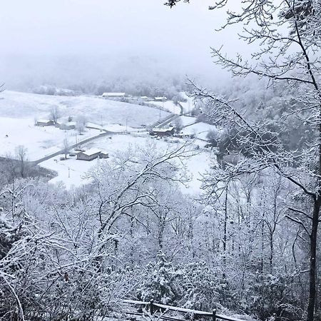 Pigeon Forge Scenic Solitude With Private Hot Tub! 외부 사진